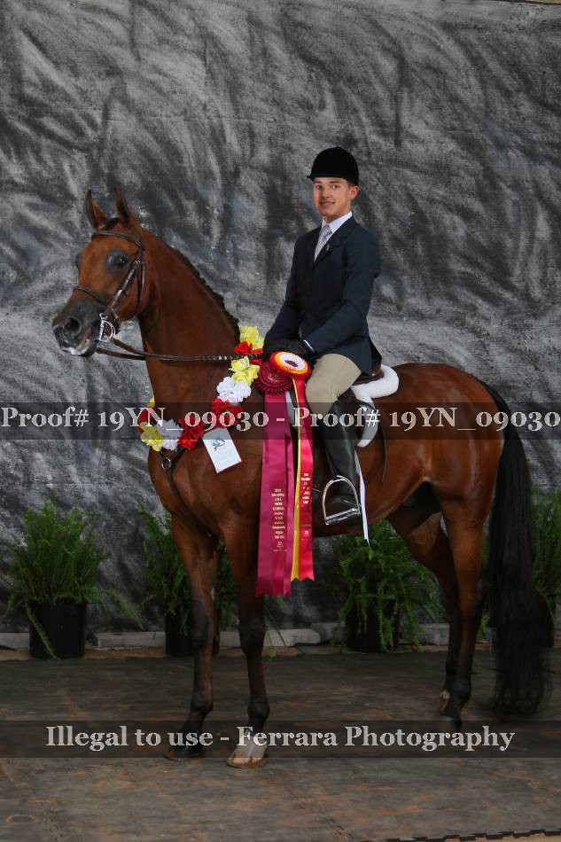 Proof 19YN_09030