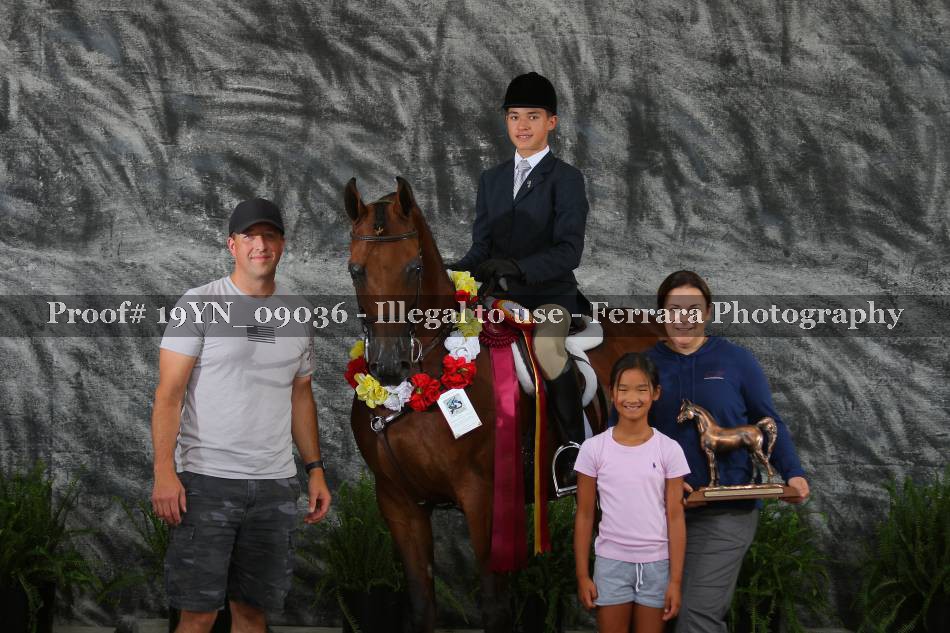 Proof 19YN_09036