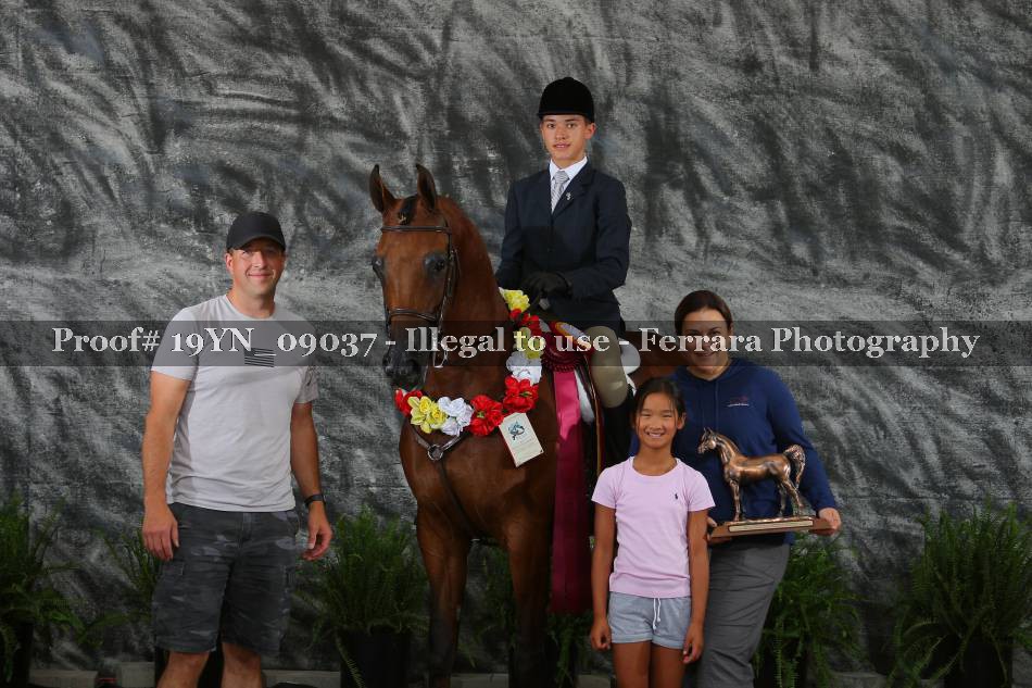 Proof 19YN_09037