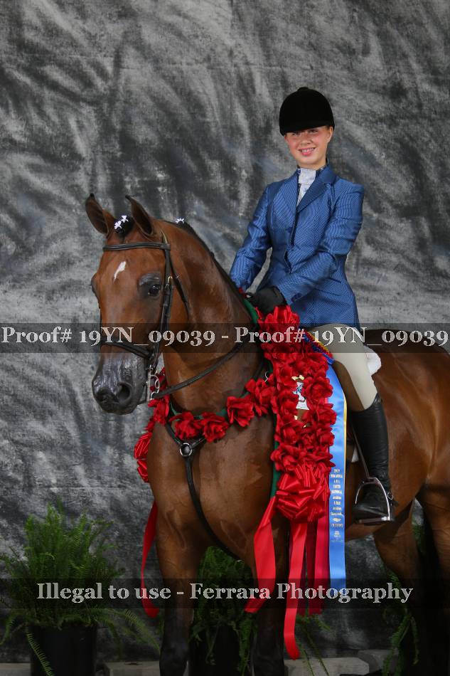 Proof 19YN_09039