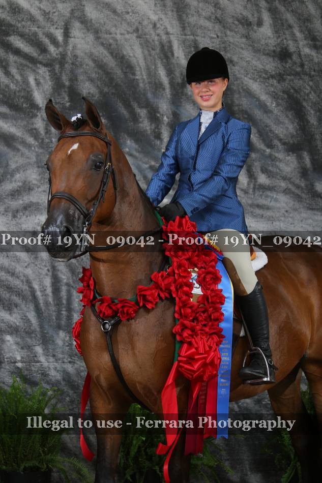 Proof 19YN_09042