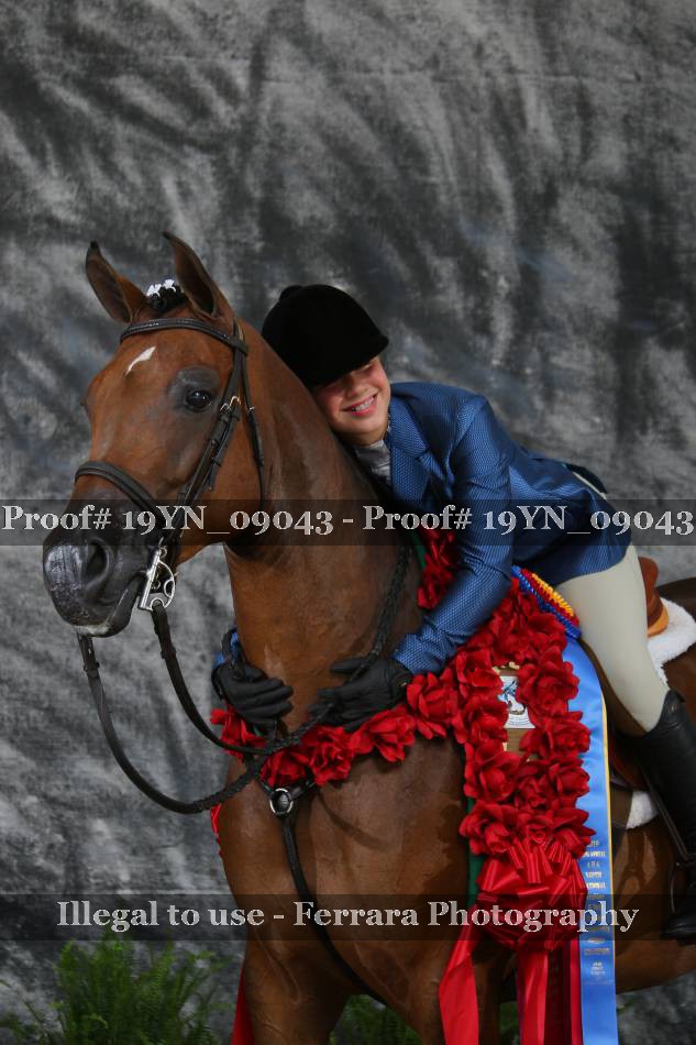 Proof 19YN_09043
