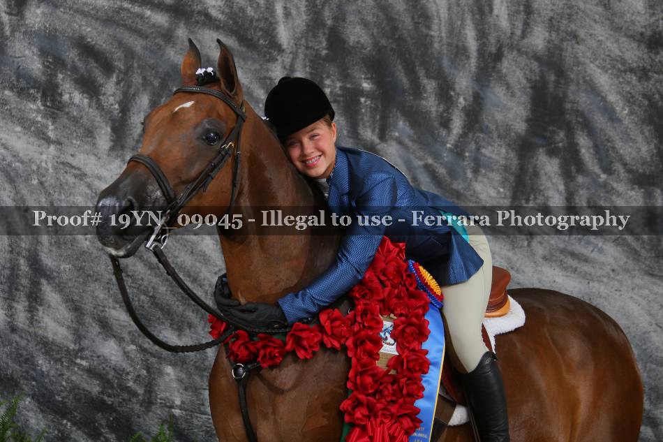 Proof 19YN_09045