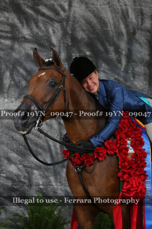 Proof 19YN_09047
