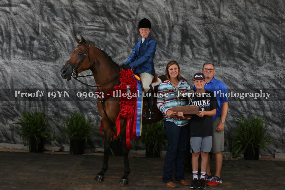 Proof 19YN_09053