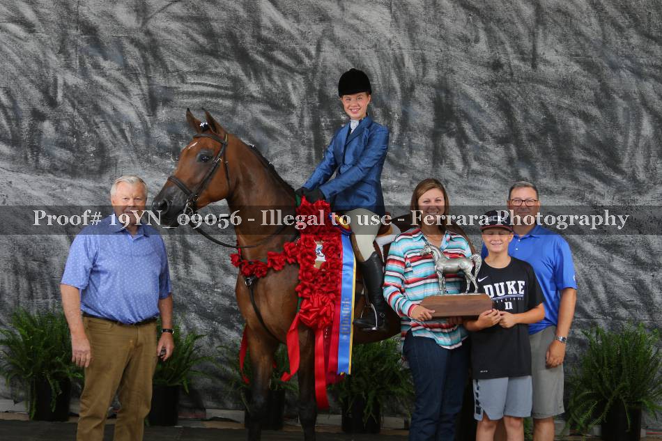 Proof 19YN_09056