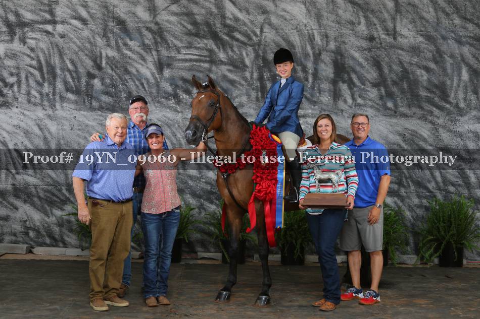 Proof 19YN_09060