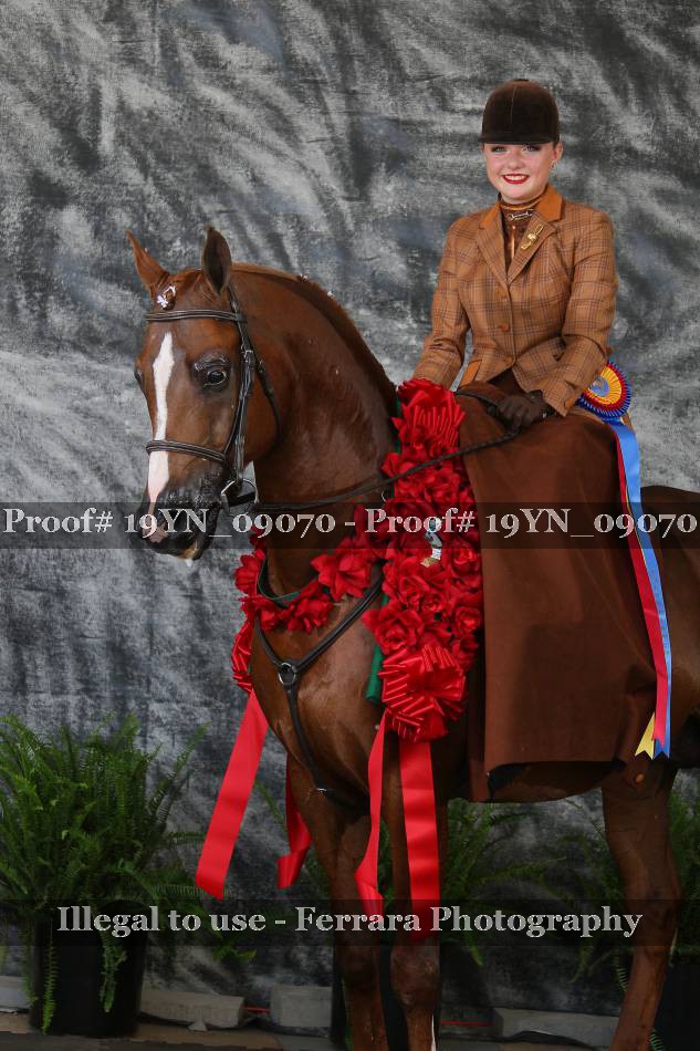 Proof 19YN_09070