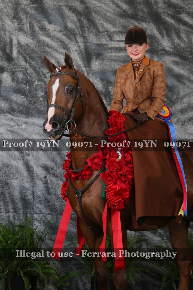 Proof 19YN_09071