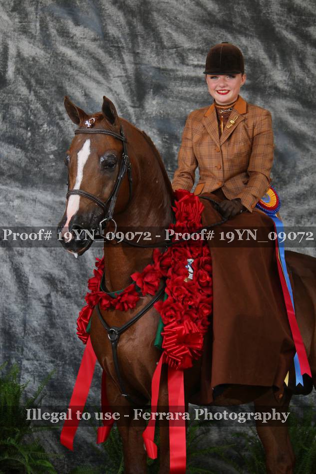 Proof 19YN_09072