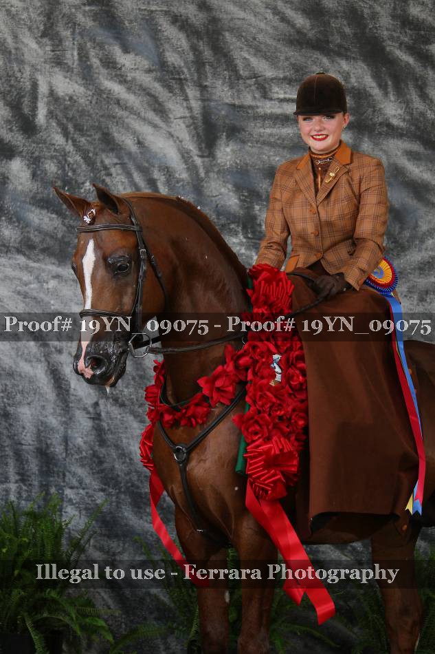 Proof 19YN_09075