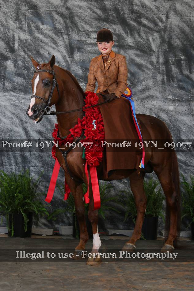 Proof 19YN_09077