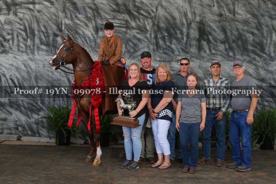 Proof 19YN_09078