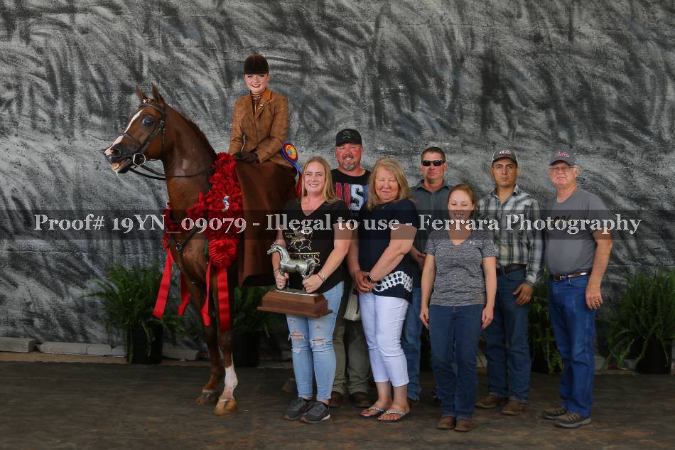 Proof 19YN_09079