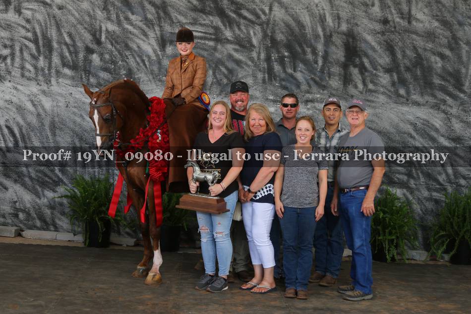 Proof 19YN_09080