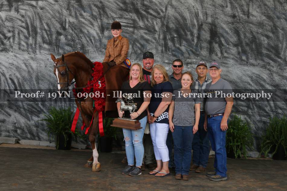Proof 19YN_09081
