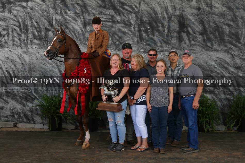 Proof 19YN_09083