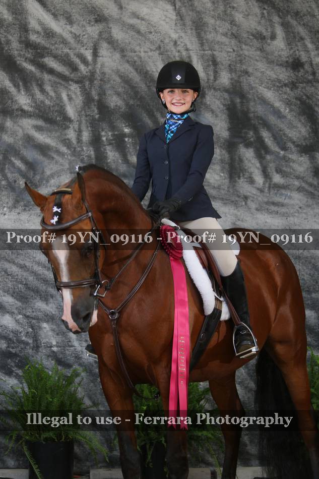 Proof 19YN_09116