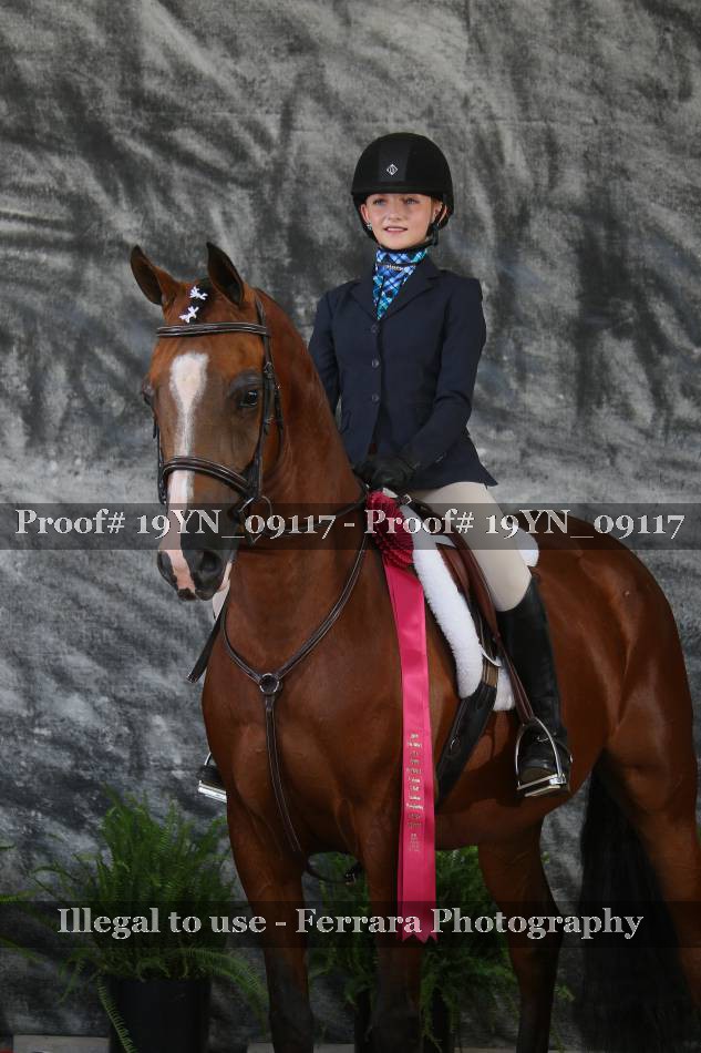 Proof 19YN_09117