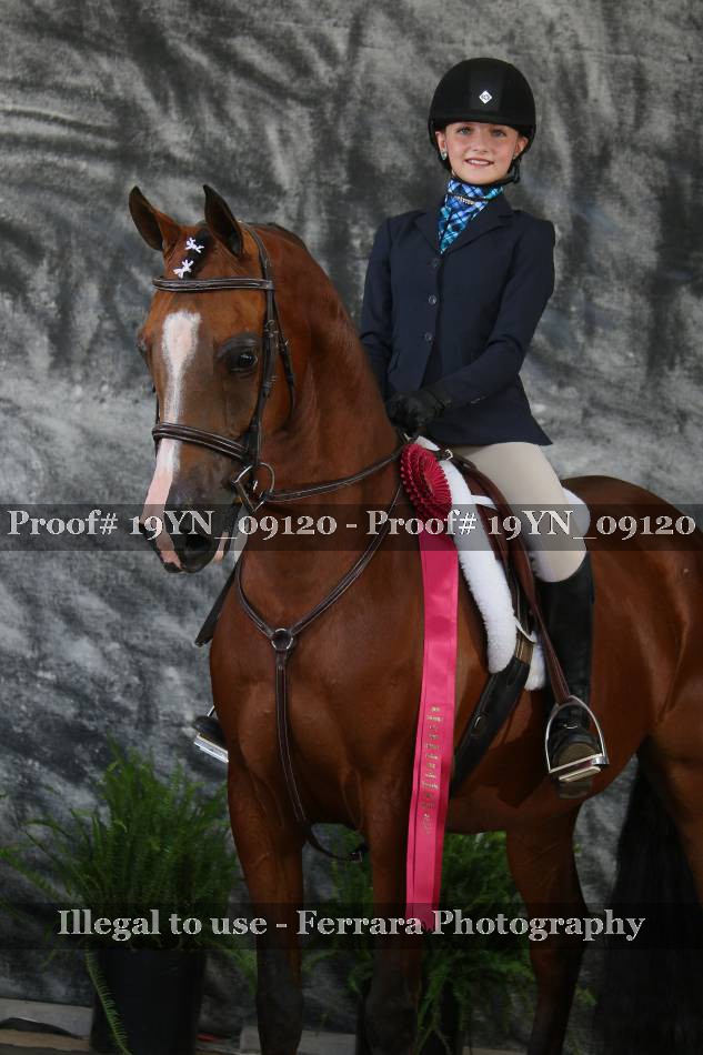 Proof 19YN_09120