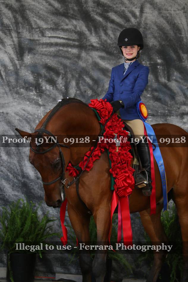 Proof 19YN_09128