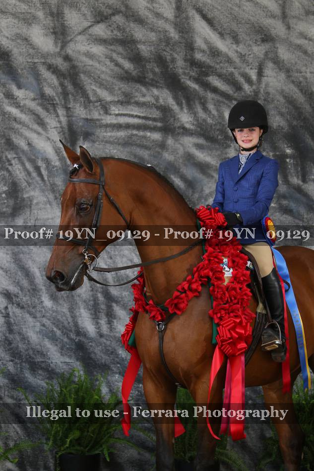 Proof 19YN_09129