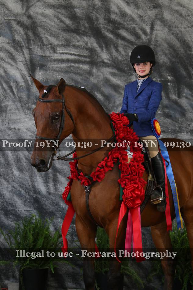 Proof 19YN_09130