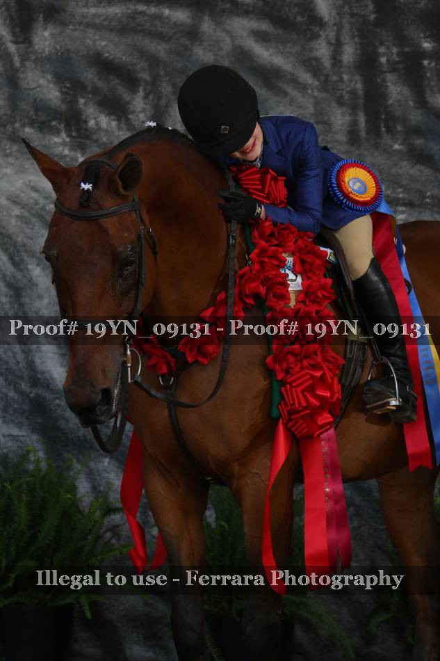 Proof 19YN_09131