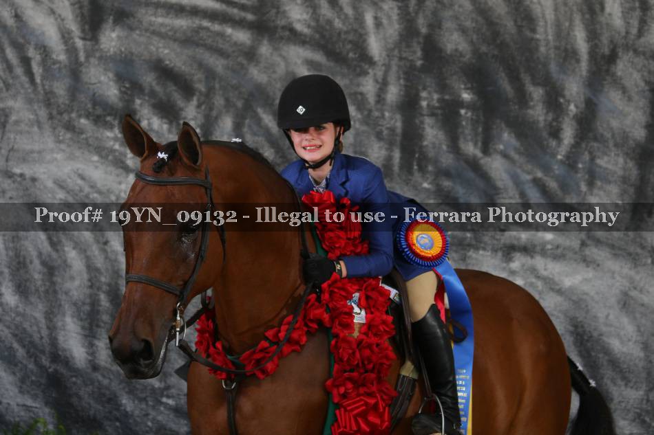 Proof 19YN_09132