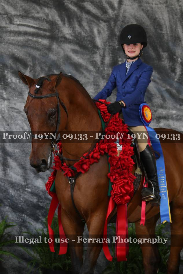 Proof 19YN_09133