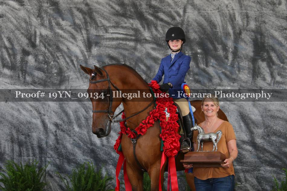 Proof 19YN_09134