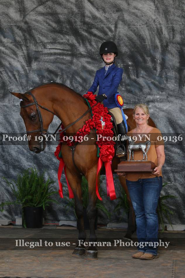 Proof 19YN_09136