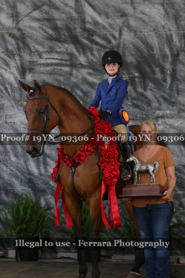 Proof 19YN_09306