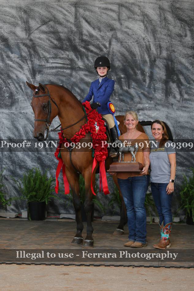 Proof 19YN_09309