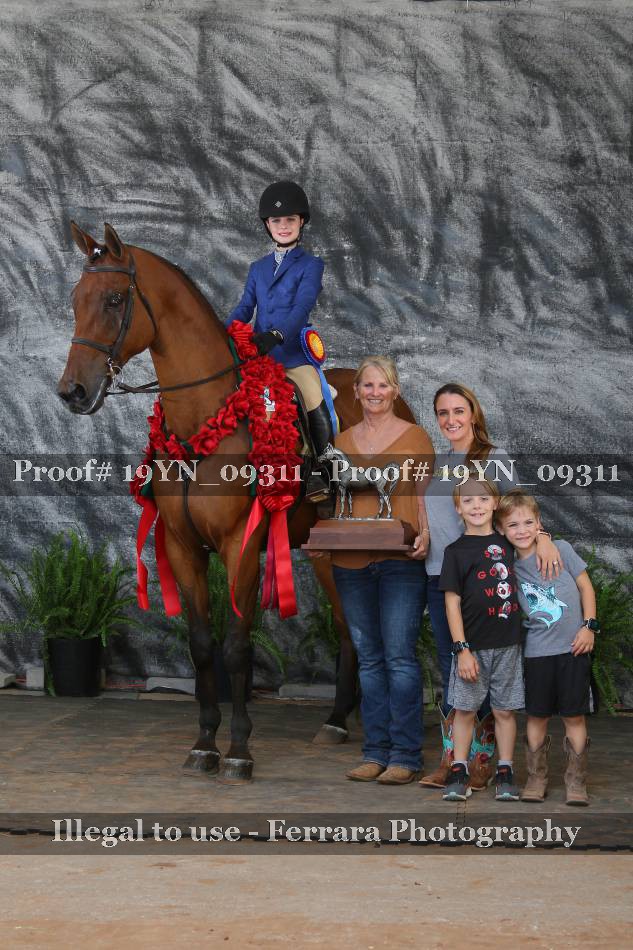 Proof 19YN_09311
