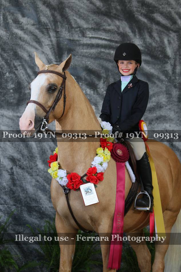 Proof 19YN_09313