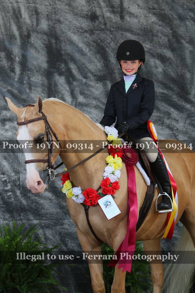 Proof 19YN_09314