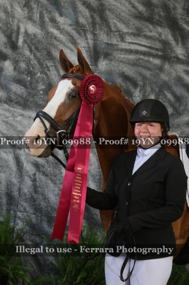 Proof 19YN_09988