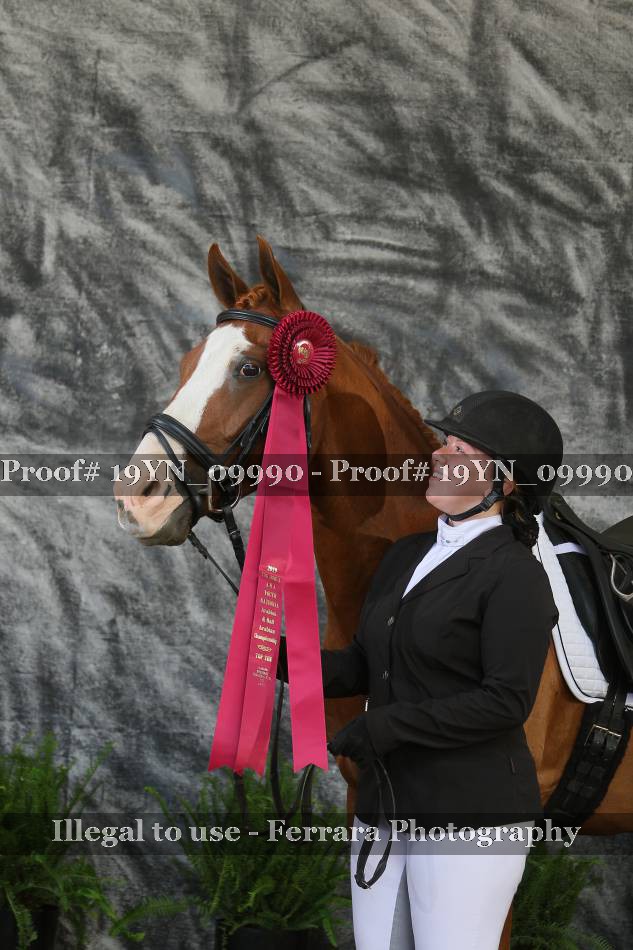 Proof 19YN_09990
