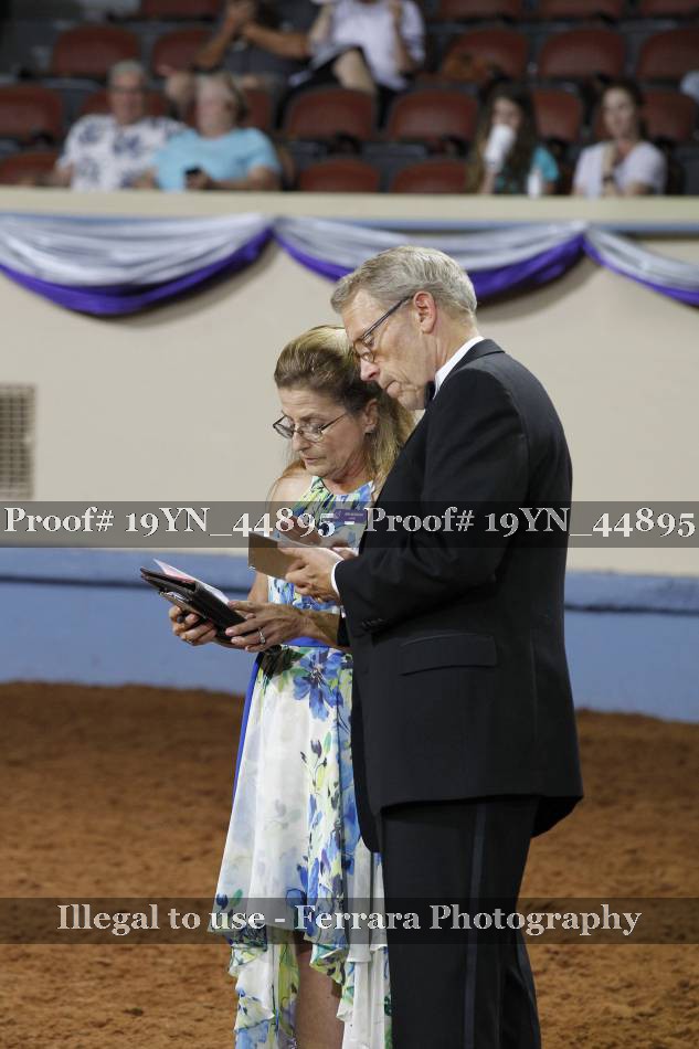 Proof 19YN_44895