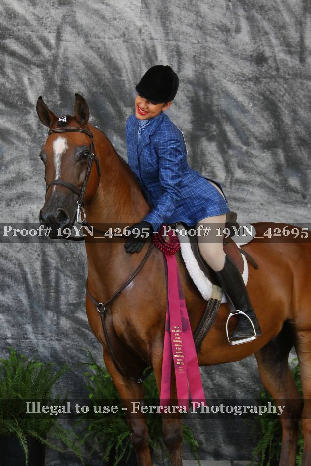 Proof 19YN_42695