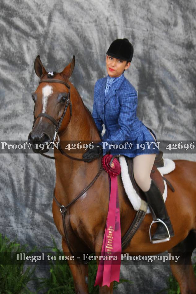 Proof 19YN_42696