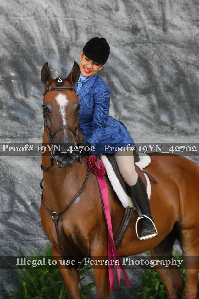 Proof 19YN_42702