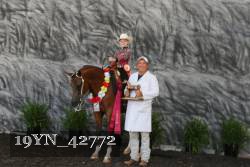 19YN_42772 proof
