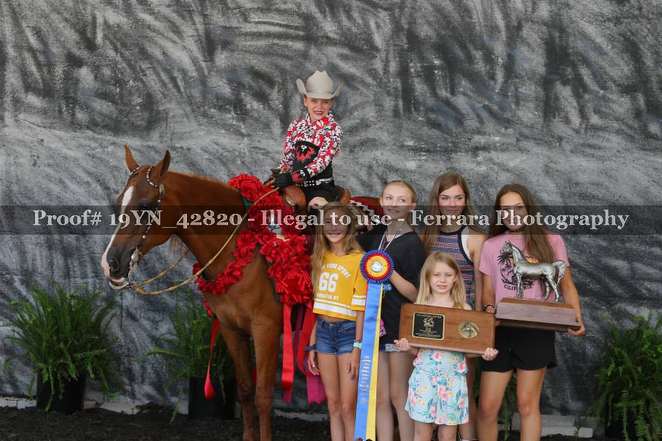 Proof 19YN_42820