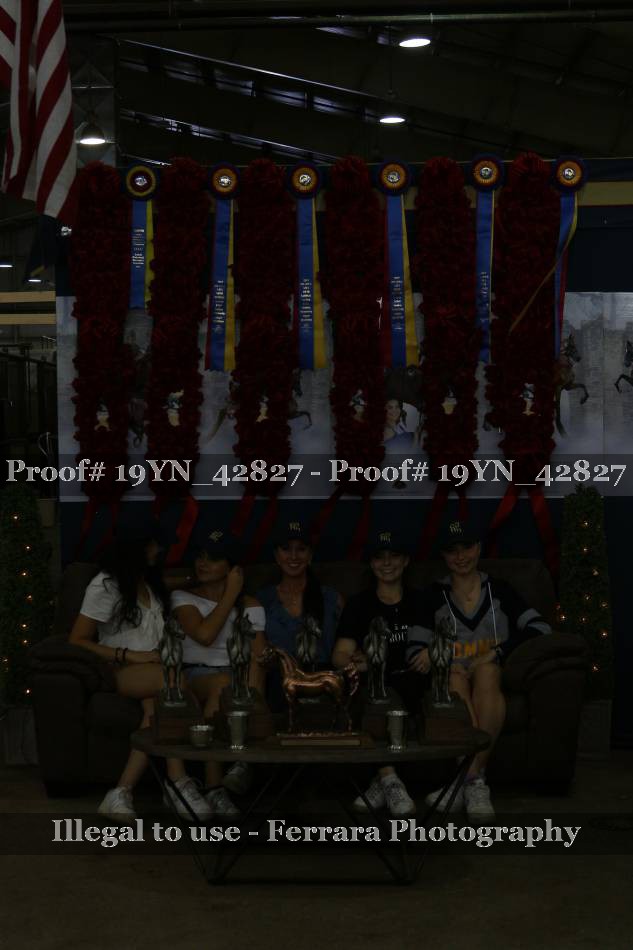 Proof 19YN_42827
