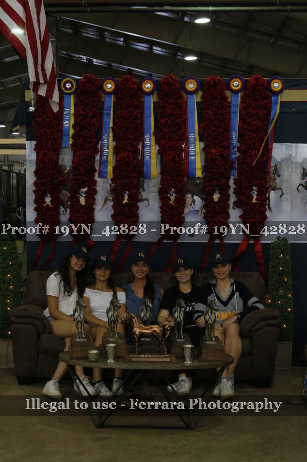 Proof 19YN_42828