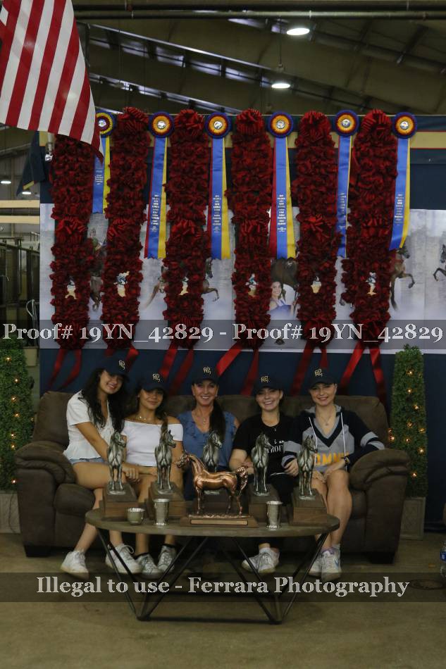 Proof 19YN_42829