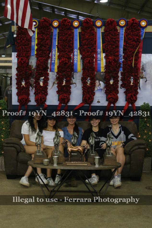 Proof 19YN_42831