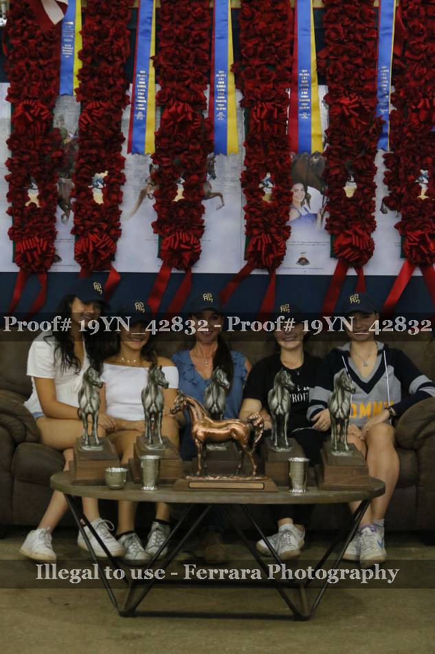 Proof 19YN_42832